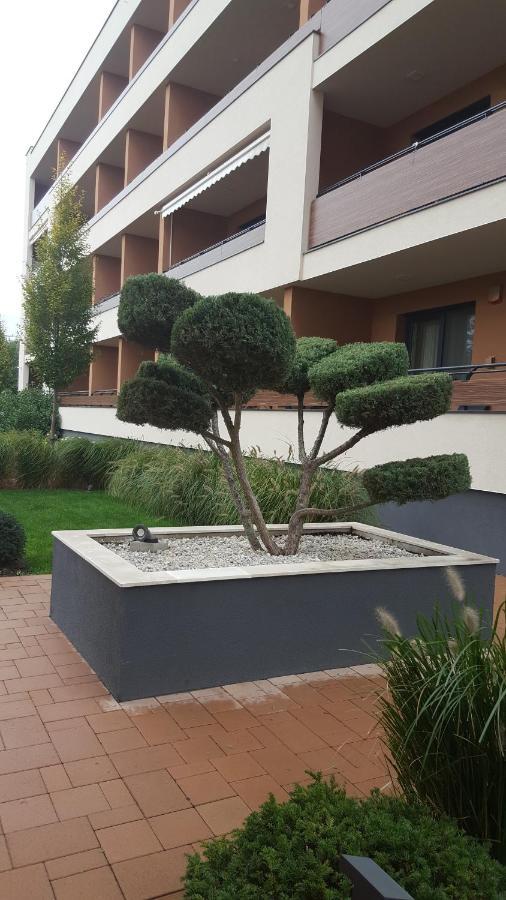 Big Forest Apartman Lejlighed Debrecen Eksteriør billede